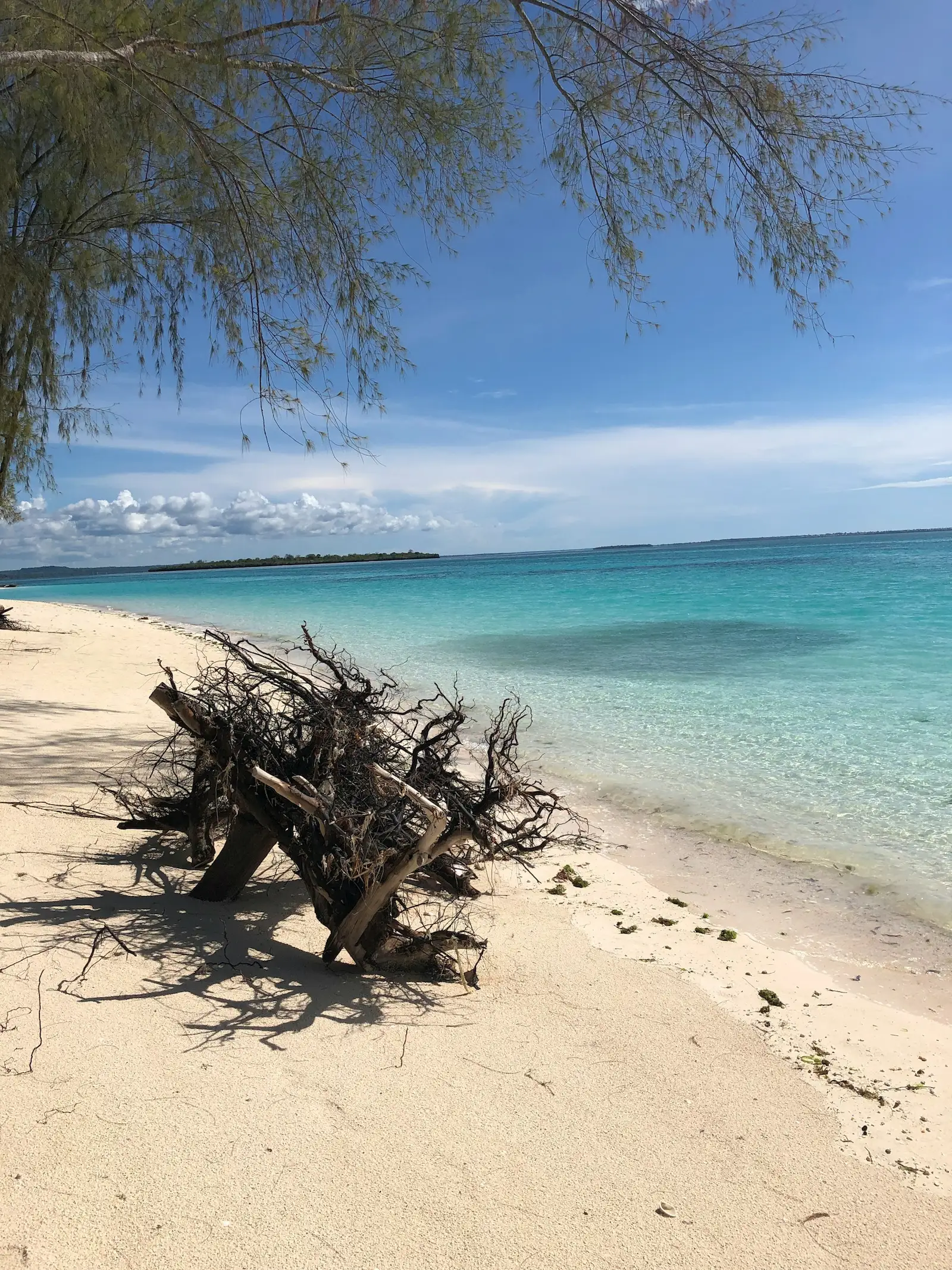 Welcome to Pemba